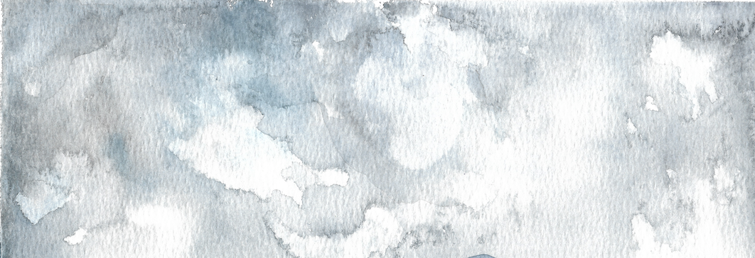 Rare Fiction indie rock band from Bristol, TN - divider image